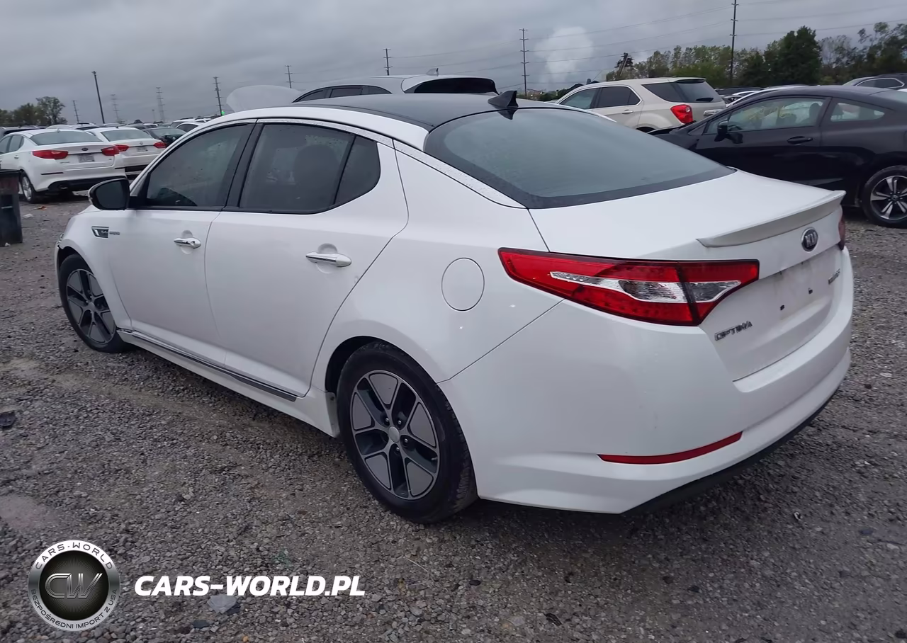 2013 Kia Optima Hybrid Ex VIN:KNAGM4AD2D5062162 - 3
