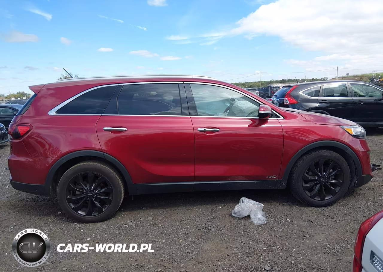 2020 Kia Sorento 3.3L Ex VIN:5XYPHDA56LG696676 - 13