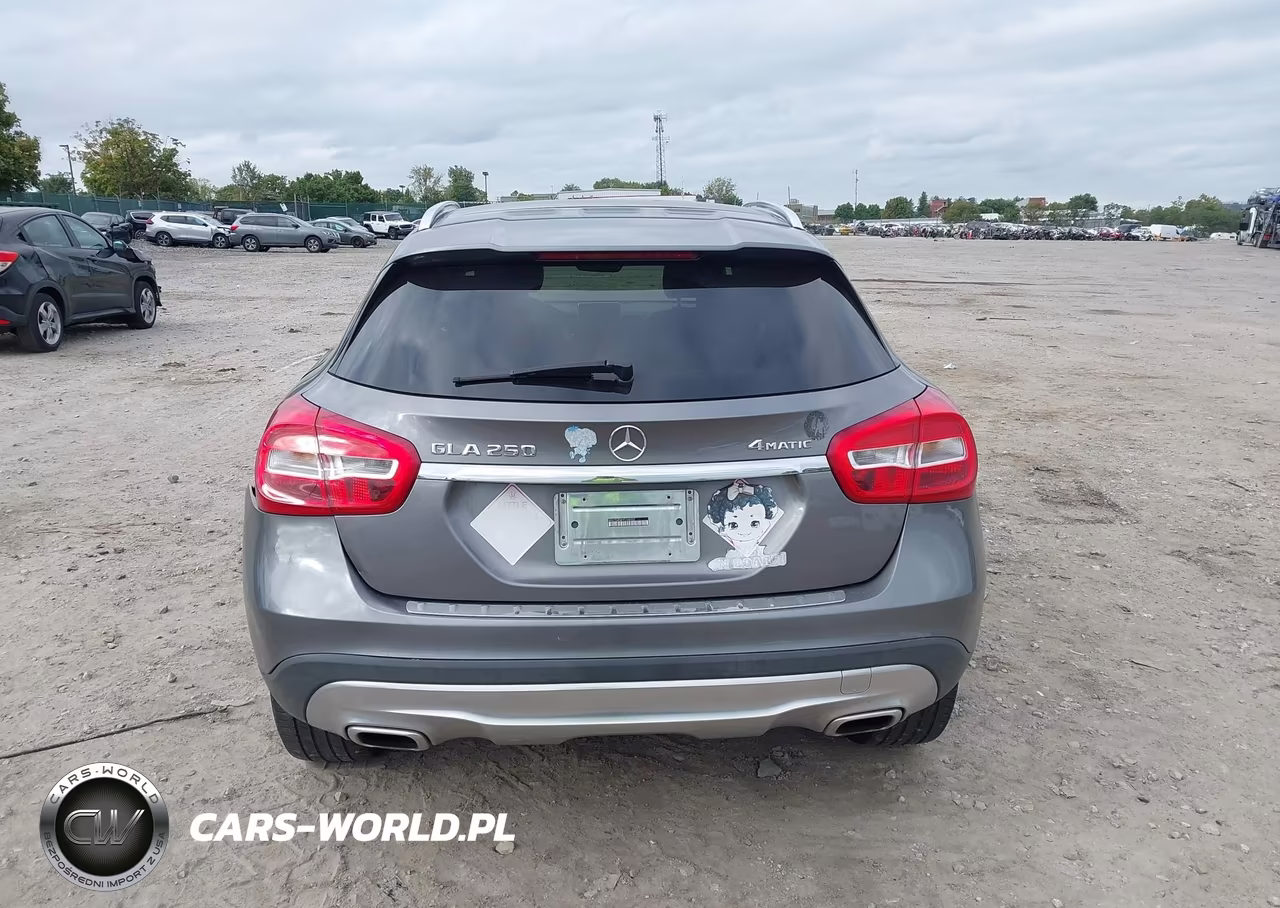 2015 Mercedes-Benz Gla 250 4Matic VIN:WDCTG4GB1FJ106252 - 16