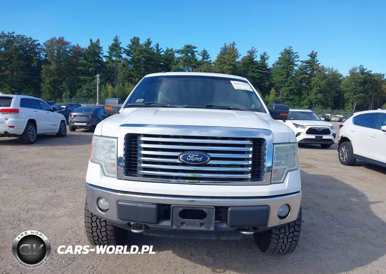 2010 Ford F-150 Fx4-Harley-Davidson-King Ranch-Lariat-Platinum-Xl-Xlt VIN:1FTFW1EV6AFB32004 - 12