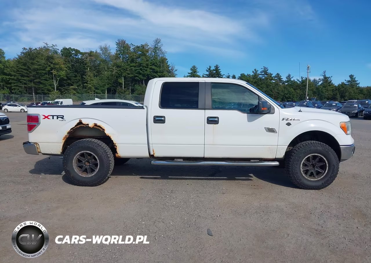 2010 Ford F-150 Fx4-Harley-Davidson-King Ranch-Lariat-Platinum-Xl-Xlt VIN:1FTFW1EV6AFB32004 - 13