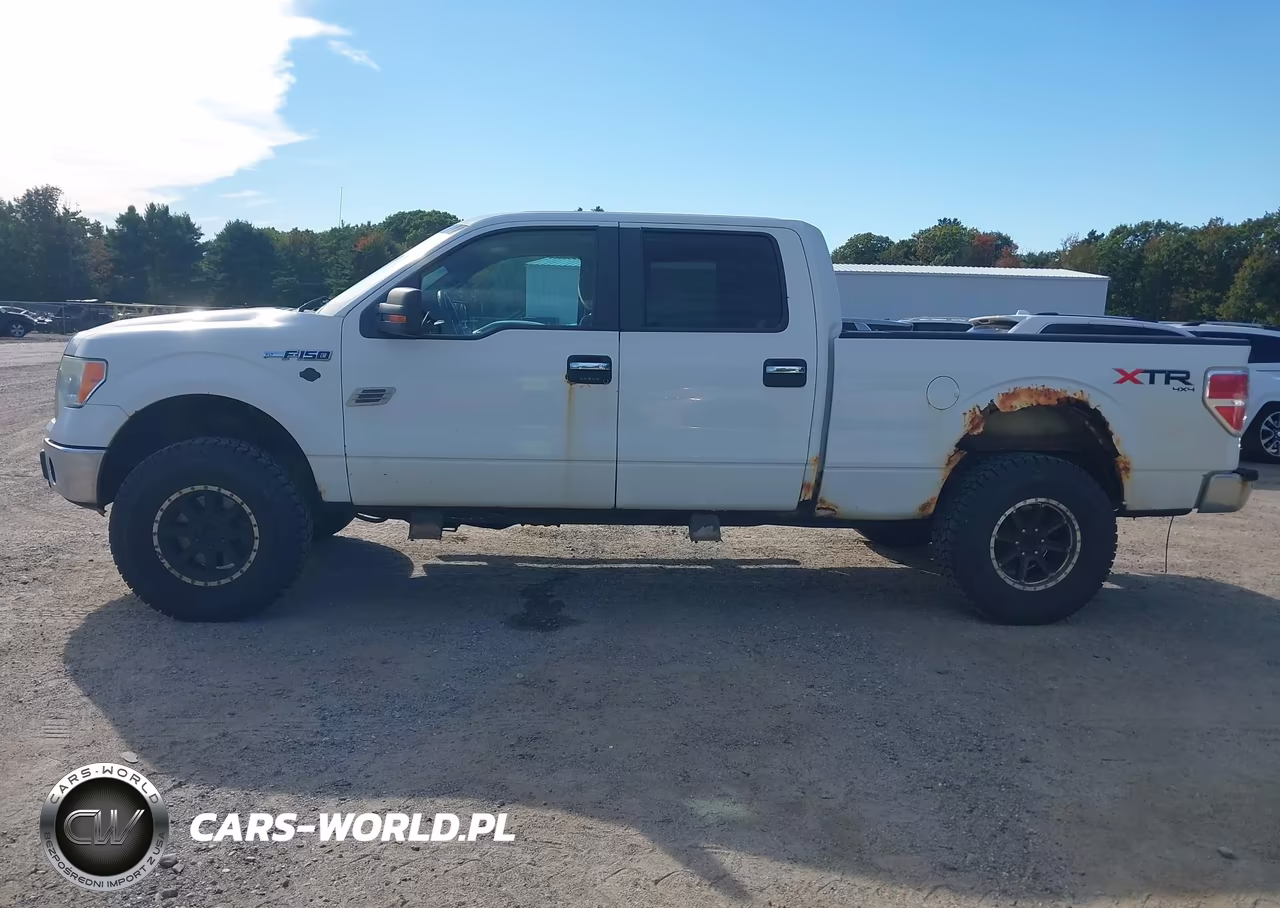 2010 Ford F-150 Fx4-Harley-Davidson-King Ranch-Lariat-Platinum-Xl-Xlt VIN:1FTFW1EV6AFB32004 - 14