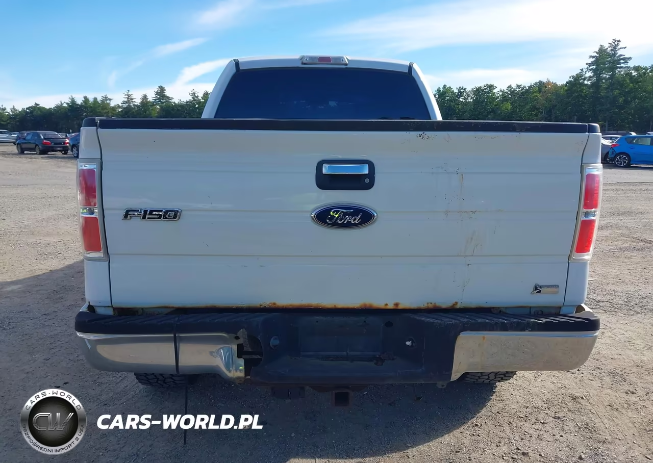 2010 Ford F-150 Fx4-Harley-Davidson-King Ranch-Lariat-Platinum-Xl-Xlt VIN:1FTFW1EV6AFB32004 - 16