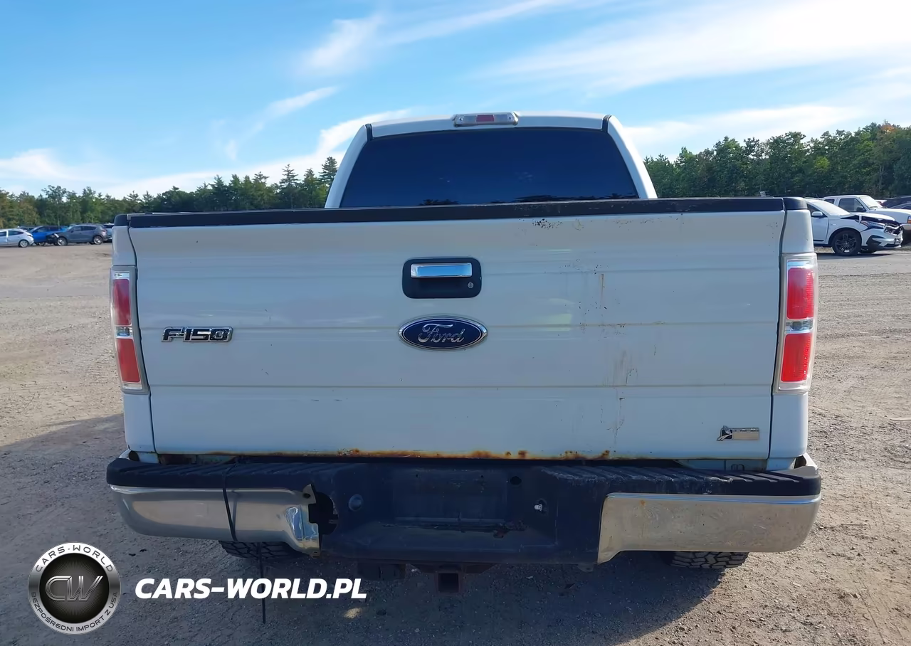 2010 Ford F-150 Fx4-Harley-Davidson-King Ranch-Lariat-Platinum-Xl-Xlt VIN:1FTFW1EV6AFB32004 - 17