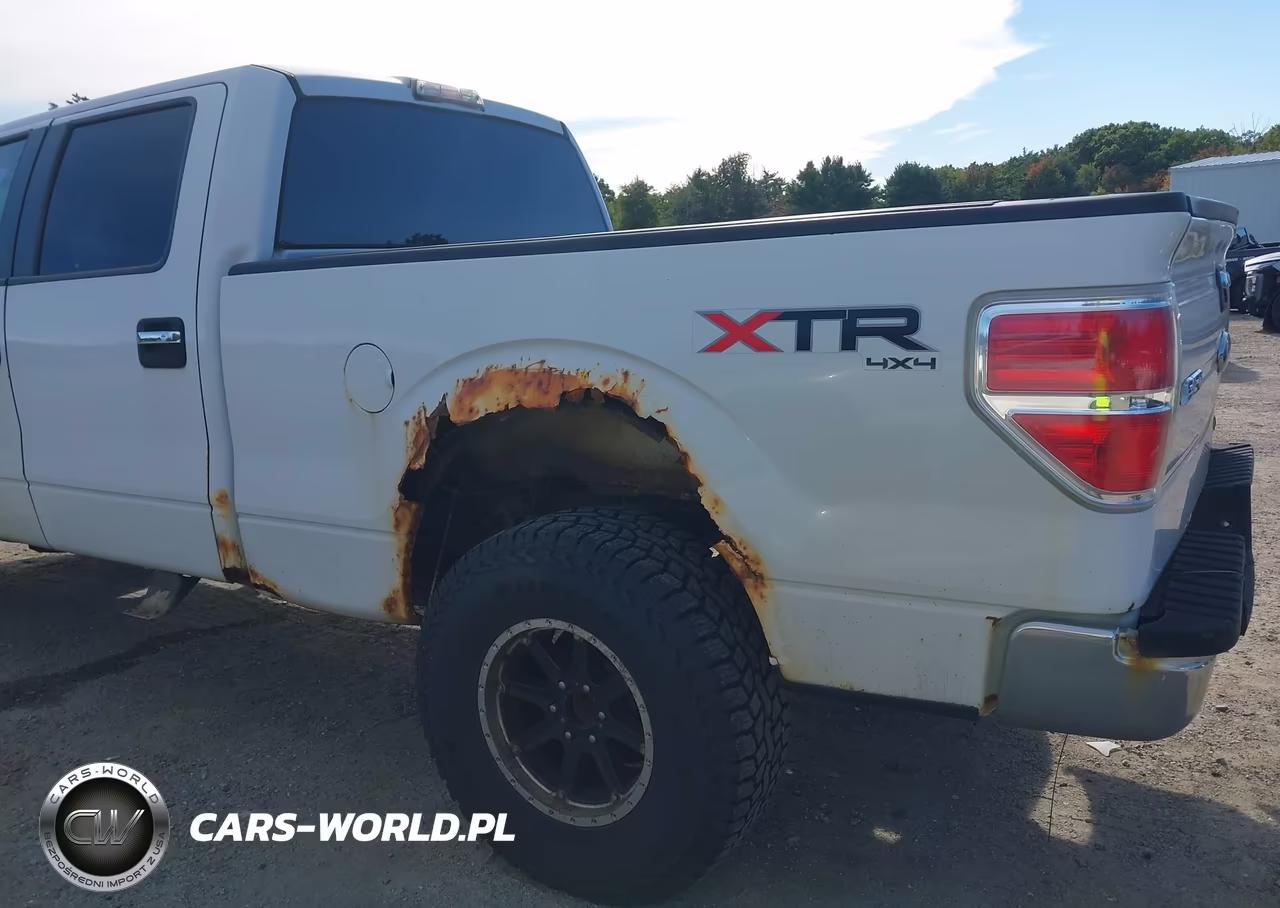 2010 Ford F-150 Fx4-Harley-Davidson-King Ranch-Lariat-Platinum-Xl-Xlt VIN:1FTFW1EV6AFB32004 - 18