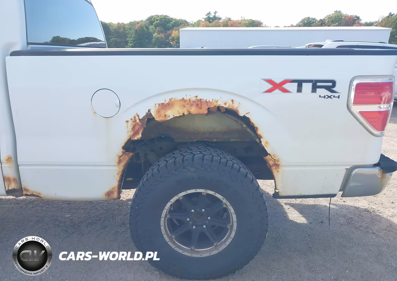2010 Ford F-150 Fx4-Harley-Davidson-King Ranch-Lariat-Platinum-Xl-Xlt VIN:1FTFW1EV6AFB32004 - 19