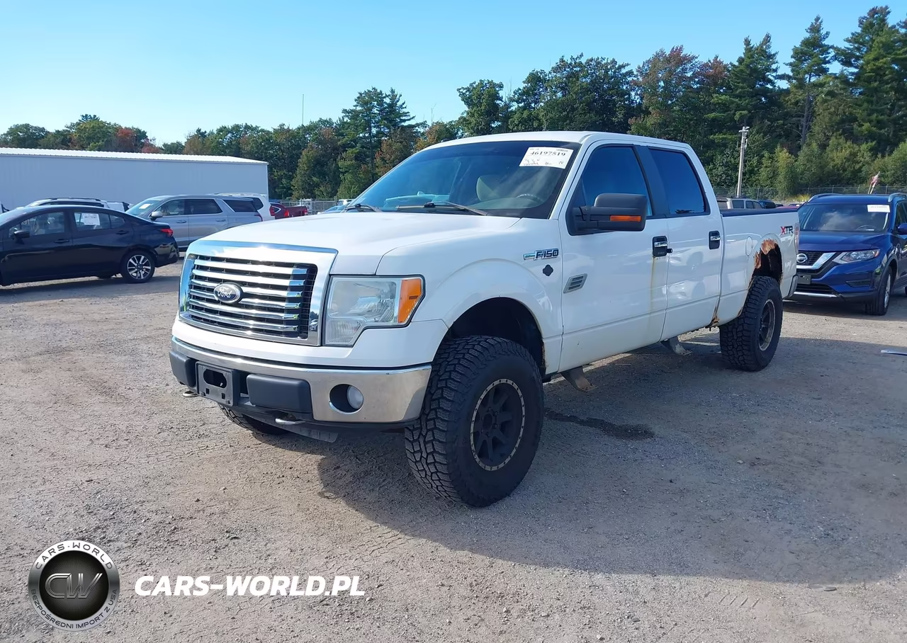 2010 Ford F-150 Fx4-Harley-Davidson-King Ranch-Lariat-Platinum-Xl-Xlt VIN:1FTFW1EV6AFB32004 - 2