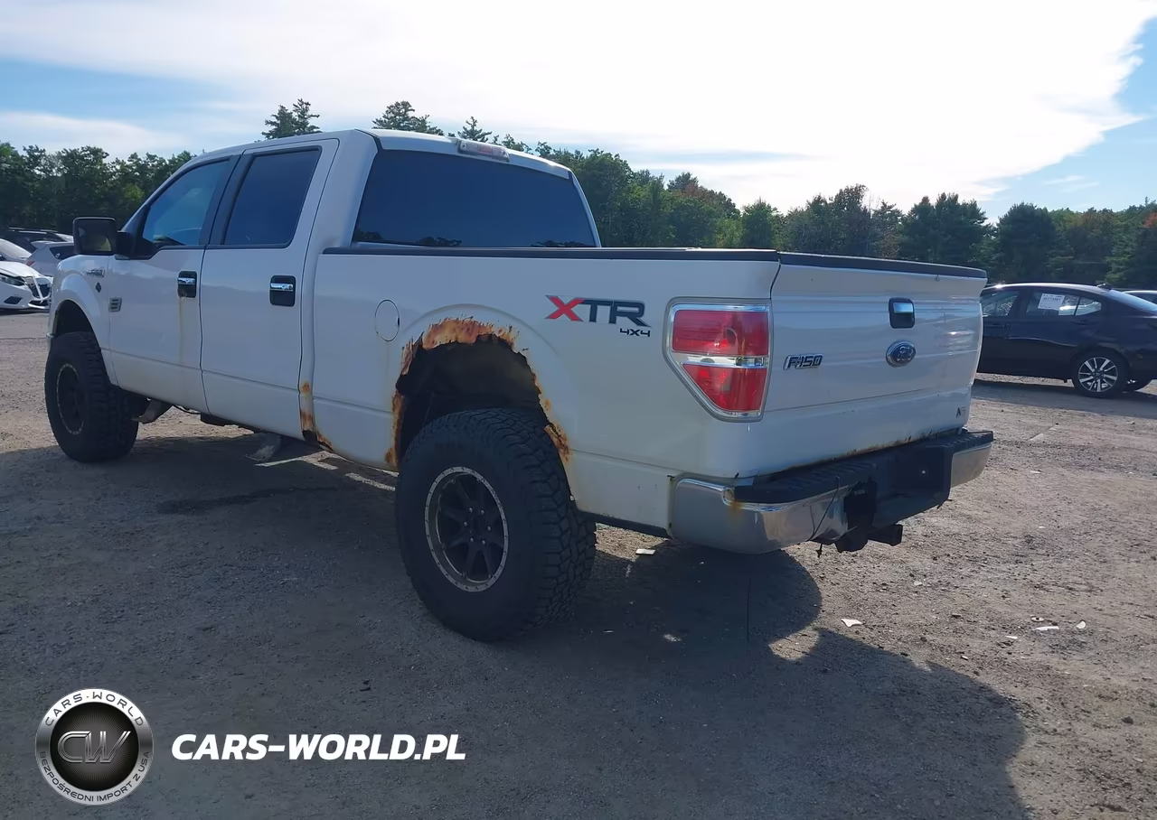2010 Ford F-150 Fx4-Harley-Davidson-King Ranch-Lariat-Platinum-Xl-Xlt VIN:1FTFW1EV6AFB32004 - 3