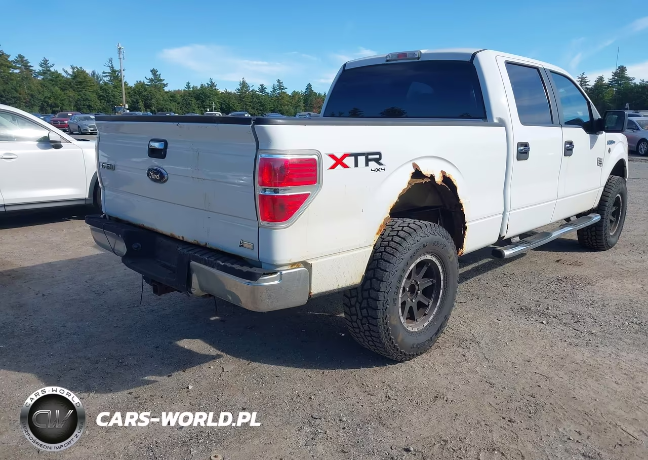 2010 Ford F-150 Fx4-Harley-Davidson-King Ranch-Lariat-Platinum-Xl-Xlt VIN:1FTFW1EV6AFB32004 - 4