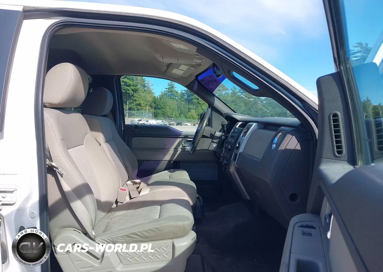 2010 Ford F-150 Fx4-Harley-Davidson-King Ranch-Lariat-Platinum-Xl-Xlt VIN:1FTFW1EV6AFB32004 - 5