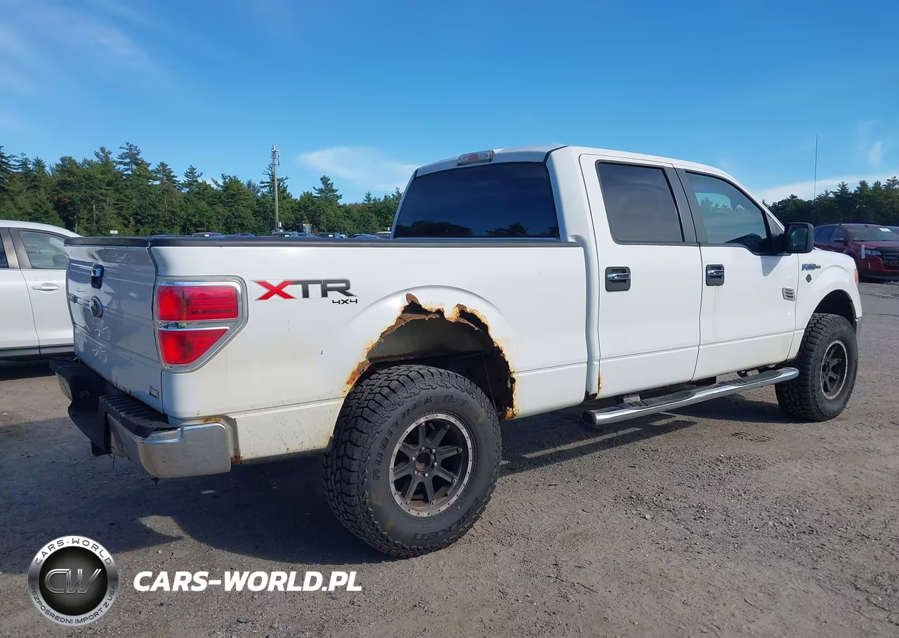 2010 Ford F-150 Fx4-Harley-Davidson-King Ranch-Lariat-Platinum-Xl-Xlt VIN:1FTFW1EV6AFB32004 - 6