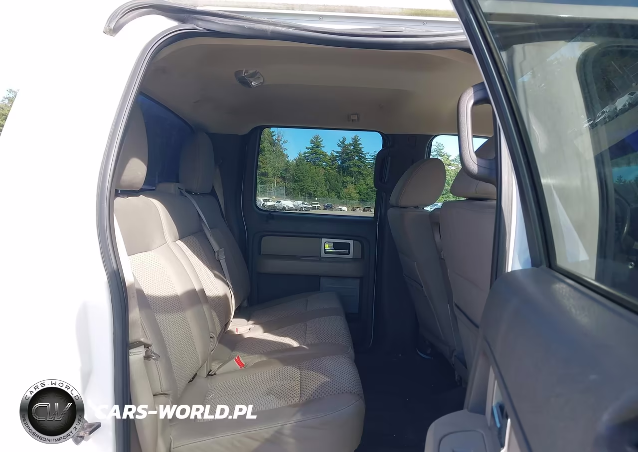 2010 Ford F-150 Fx4-Harley-Davidson-King Ranch-Lariat-Platinum-Xl-Xlt VIN:1FTFW1EV6AFB32004 - 8