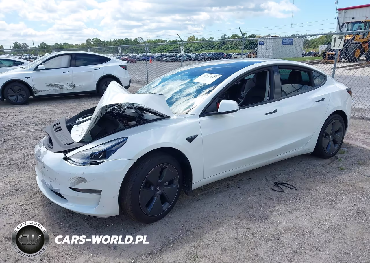 2022 Tesla Modelo 3 Rear-Wheel Drive VIN:5YJ3E1EA8NF244123 - 2