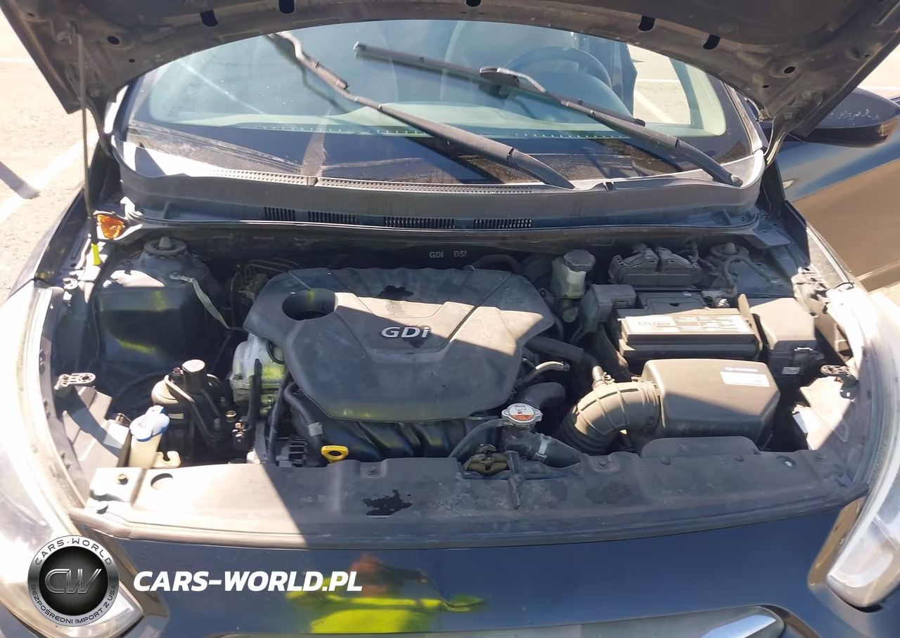 2016 Hyundai Accent Se VIN:KMHCT4AE6GU952683 - 10