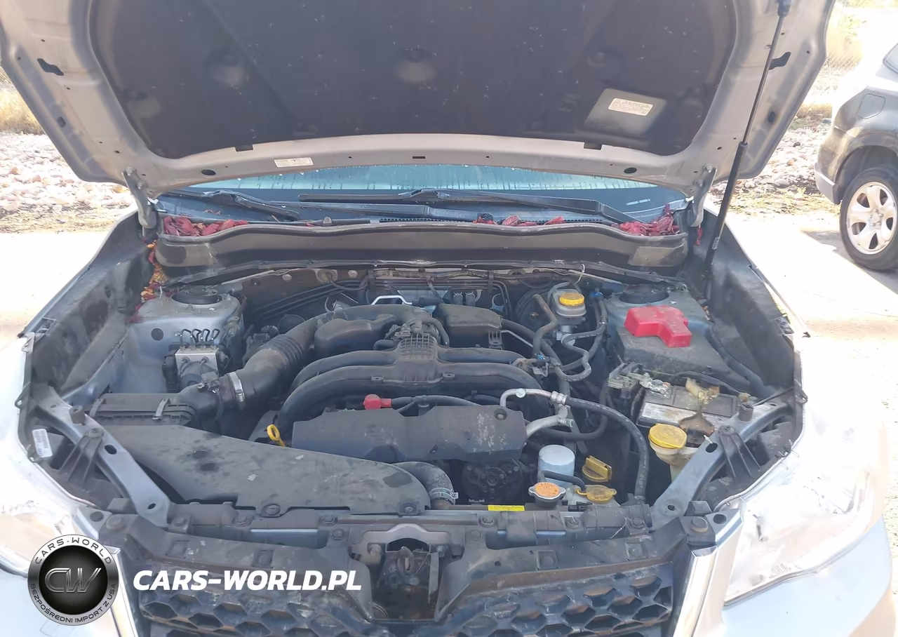 2014 Subaru Forester 2.5I VIN:JF2SJAAC3EH451003 - 10