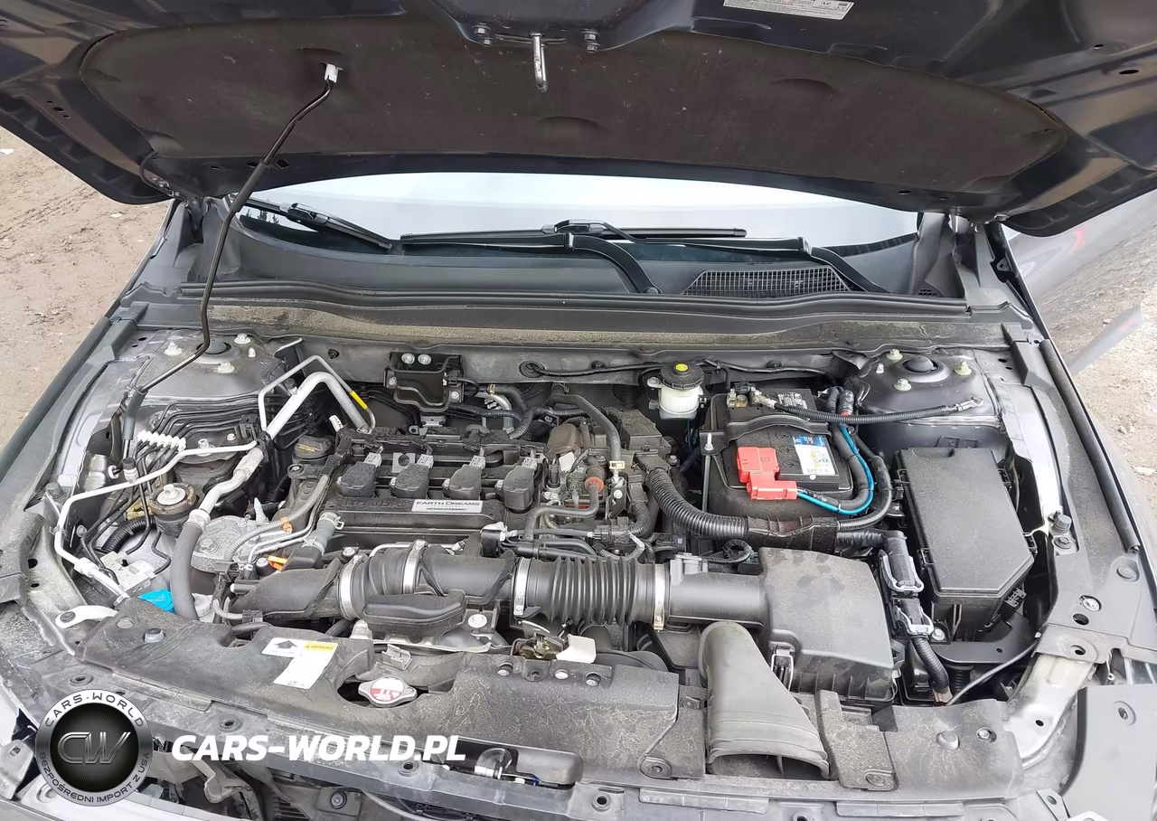 2019 Honda Accord Lx VIN:1HGCV1F15KA008873 - 10
