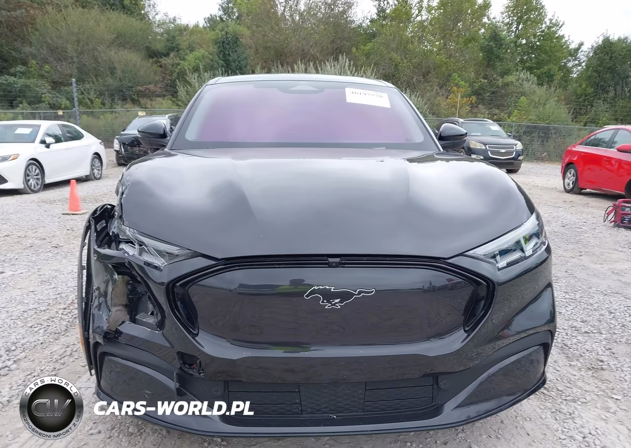 2022 Ford Mustang Mach-E Premium VIN:3FMTK3SU4NMA28831 - 12