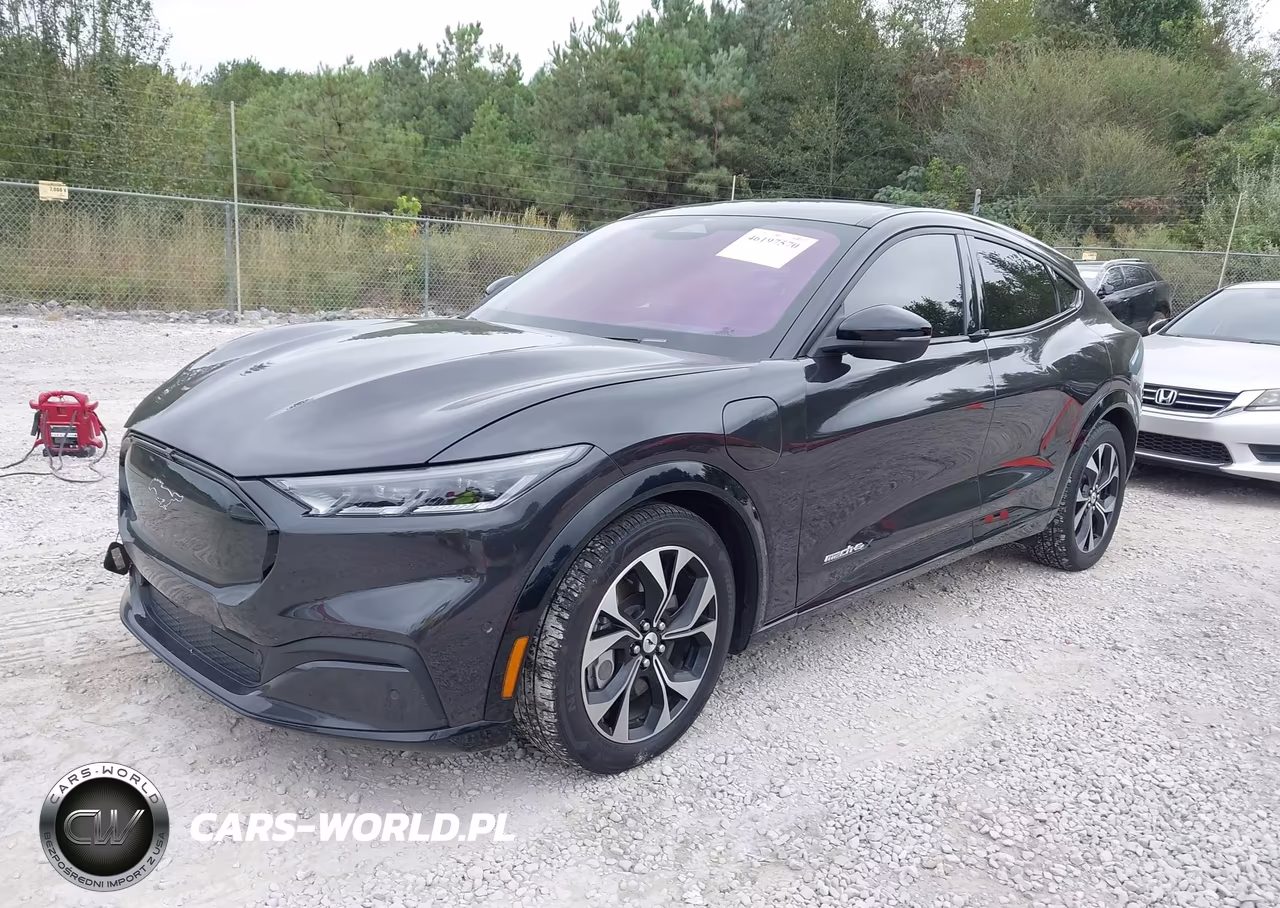 2022 Ford Mustang Mach-E Premium VIN:3FMTK3SU4NMA28831 - 2