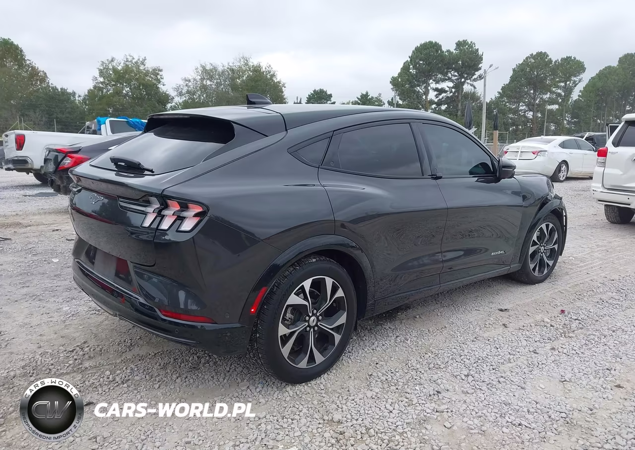 2022 Ford Mustang Mach-E Premium VIN:3FMTK3SU4NMA28831 - 4
