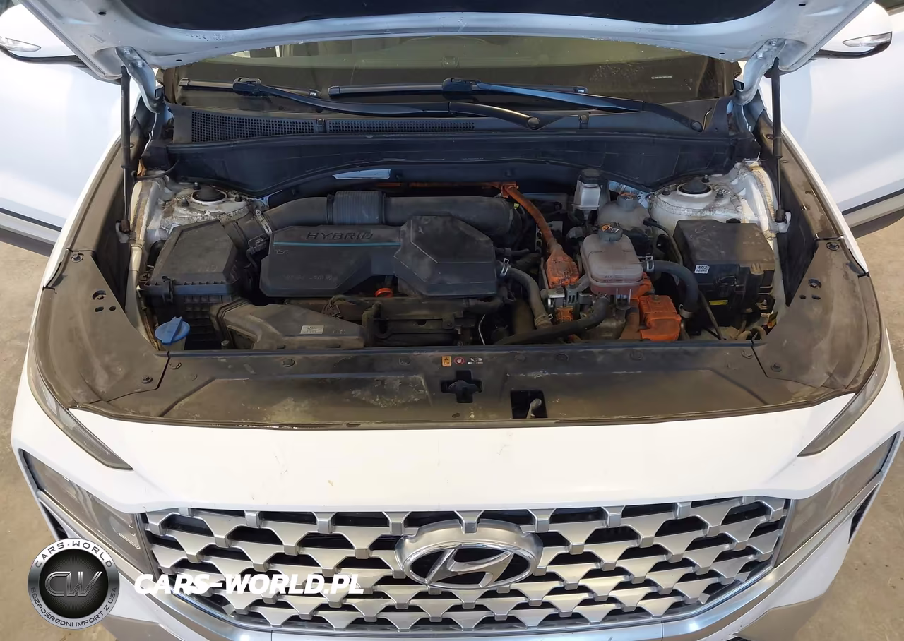 2022 Hyundai Santa Fe Hybrid Sel Premium VIN:KM8S3DA11NU014256 - 10