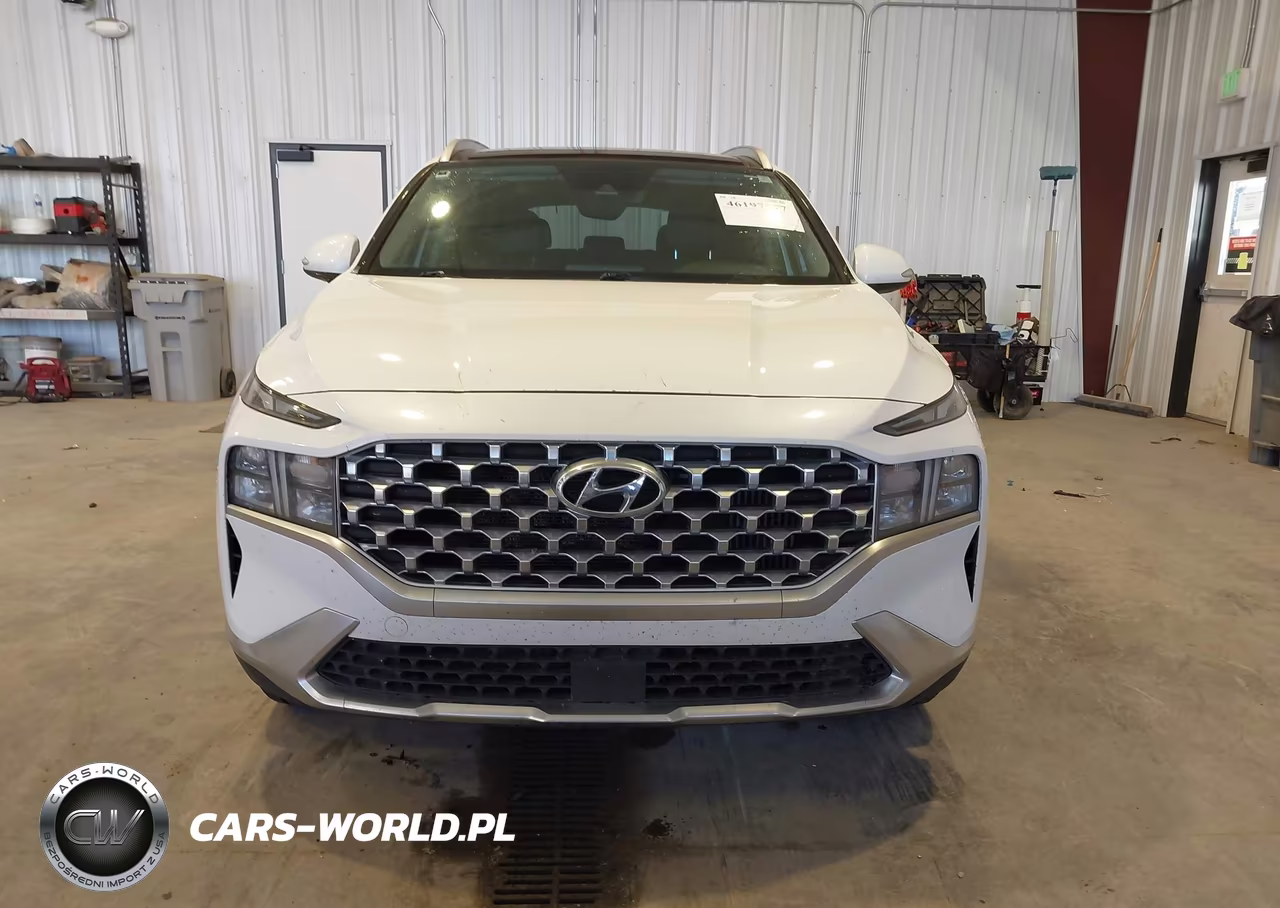 2022 Hyundai Santa Fe Hybrid Sel Premium VIN:KM8S3DA11NU014256 - 13