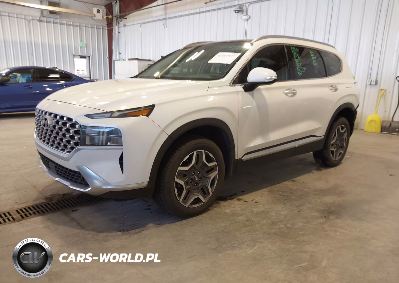 2022 Hyundai Santa Fe Hybrid Sel Premium VIN:KM8S3DA11NU014256 - 2