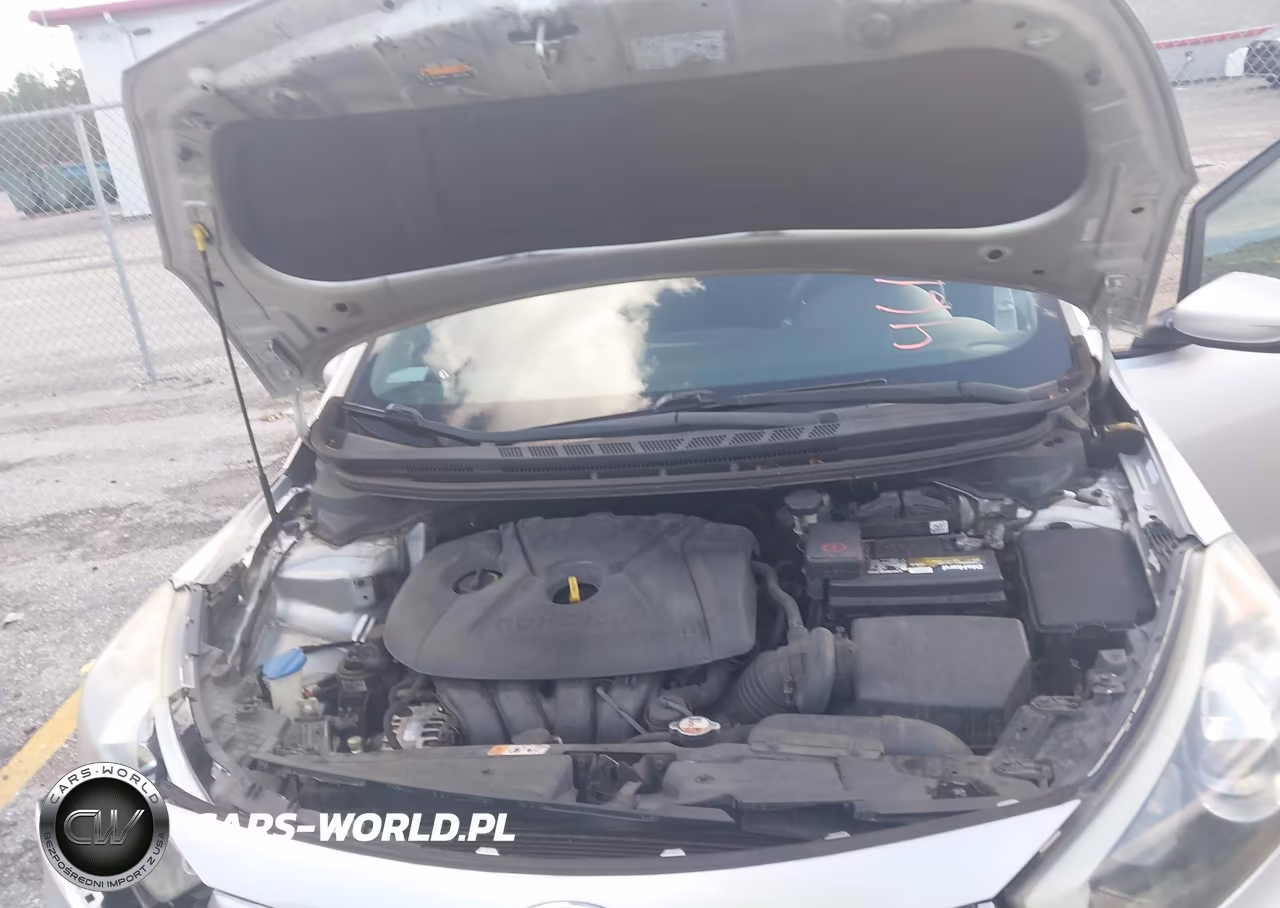 2014 Kia Forte Lx VIN:KNAFK4A65E5148621 - 10