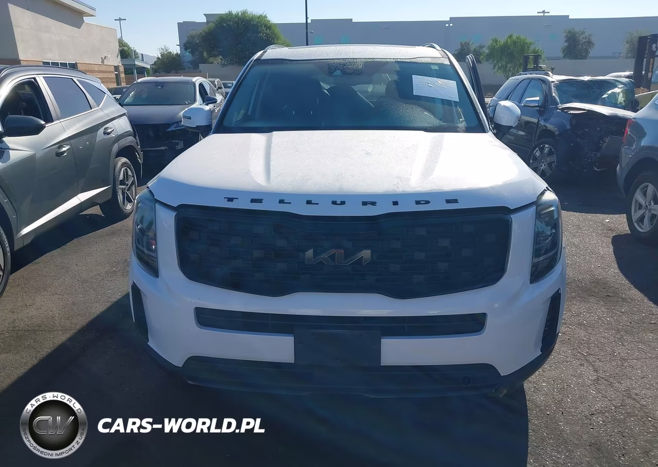 2022 Kia Telluride Ex VIN:5XYP3DHCXNG200252 - 12