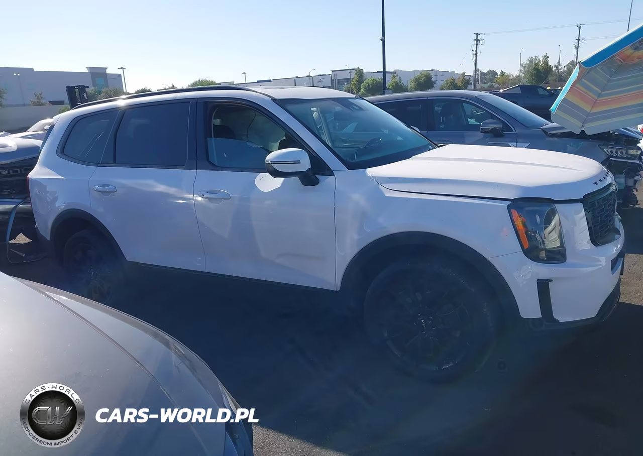 2022 Kia Telluride Ex VIN:5XYP3DHCXNG200252 - 13