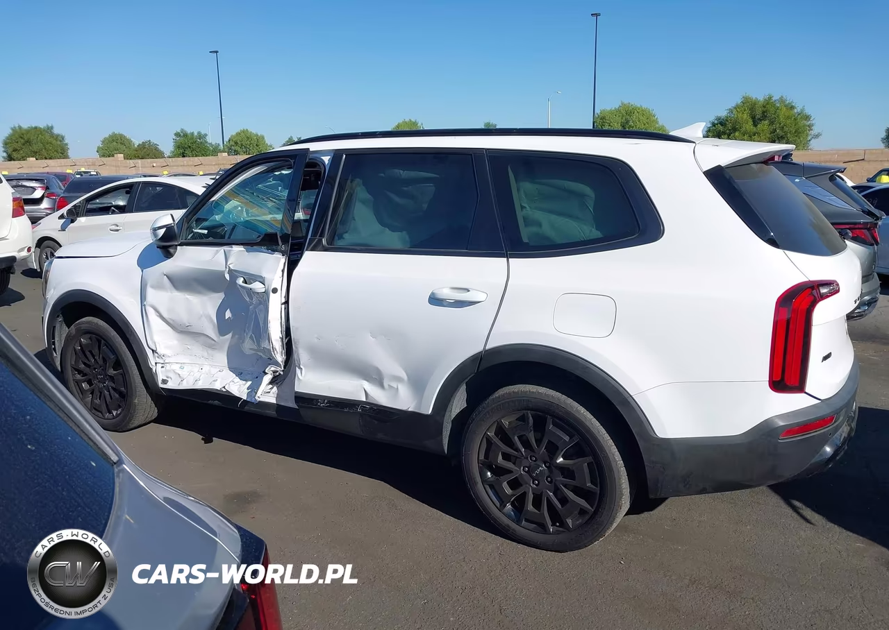 2022 Kia Telluride Ex VIN:5XYP3DHCXNG200252 - 14