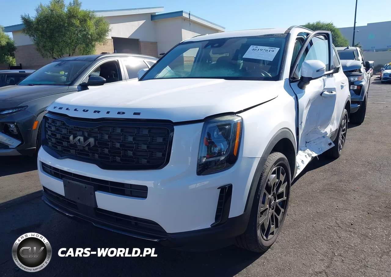 2022 Kia Telluride Ex VIN:5XYP3DHCXNG200252 - 2