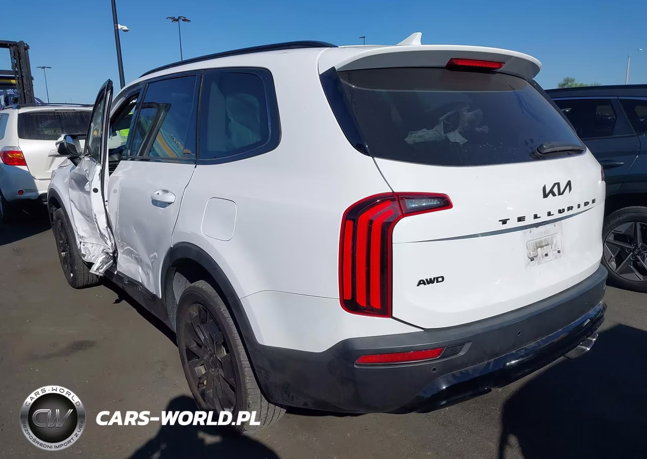 2022 Kia Telluride Ex VIN:5XYP3DHCXNG200252 - 3