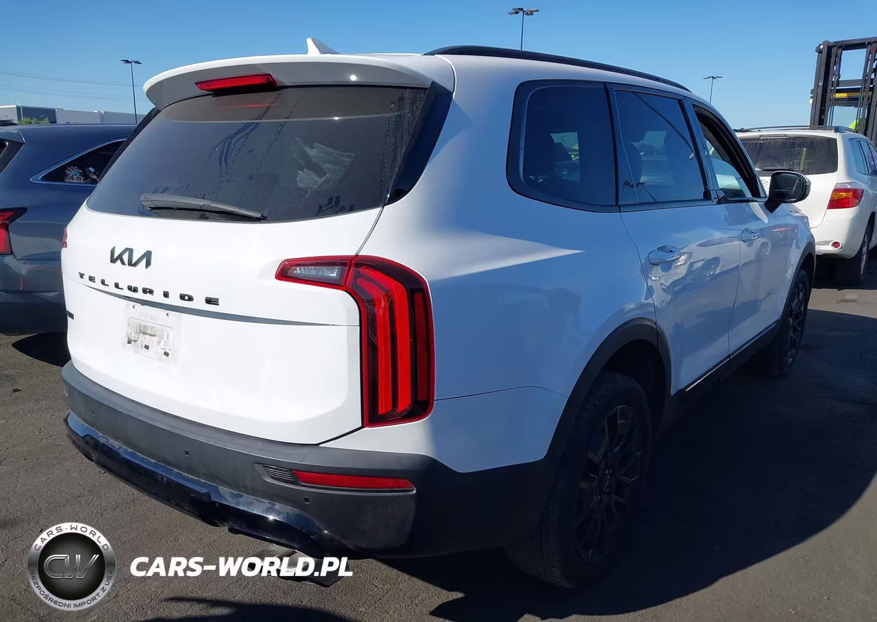 2022 Kia Telluride Ex VIN:5XYP3DHCXNG200252 - 4