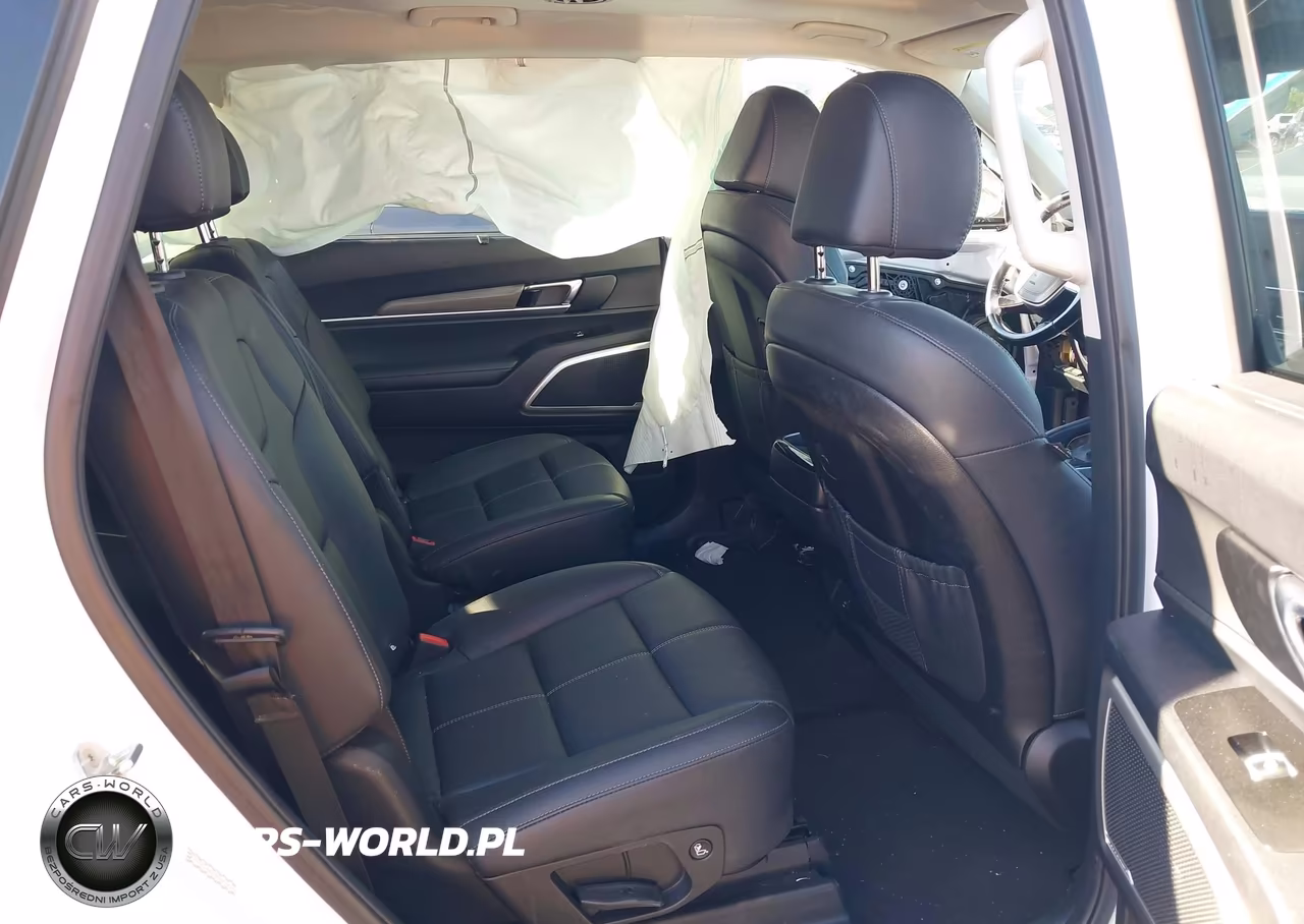 2022 Kia Telluride Ex VIN:5XYP3DHCXNG200252 - 8