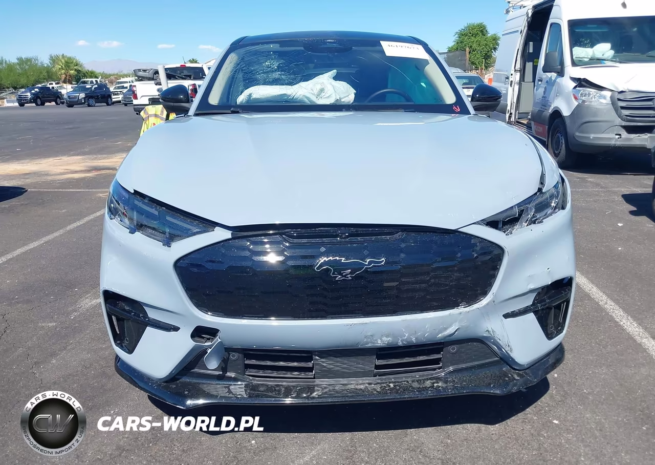 2025 Ford Mustang Mach-E Premium VIN:3FMTK3R72SMA54713 - 12