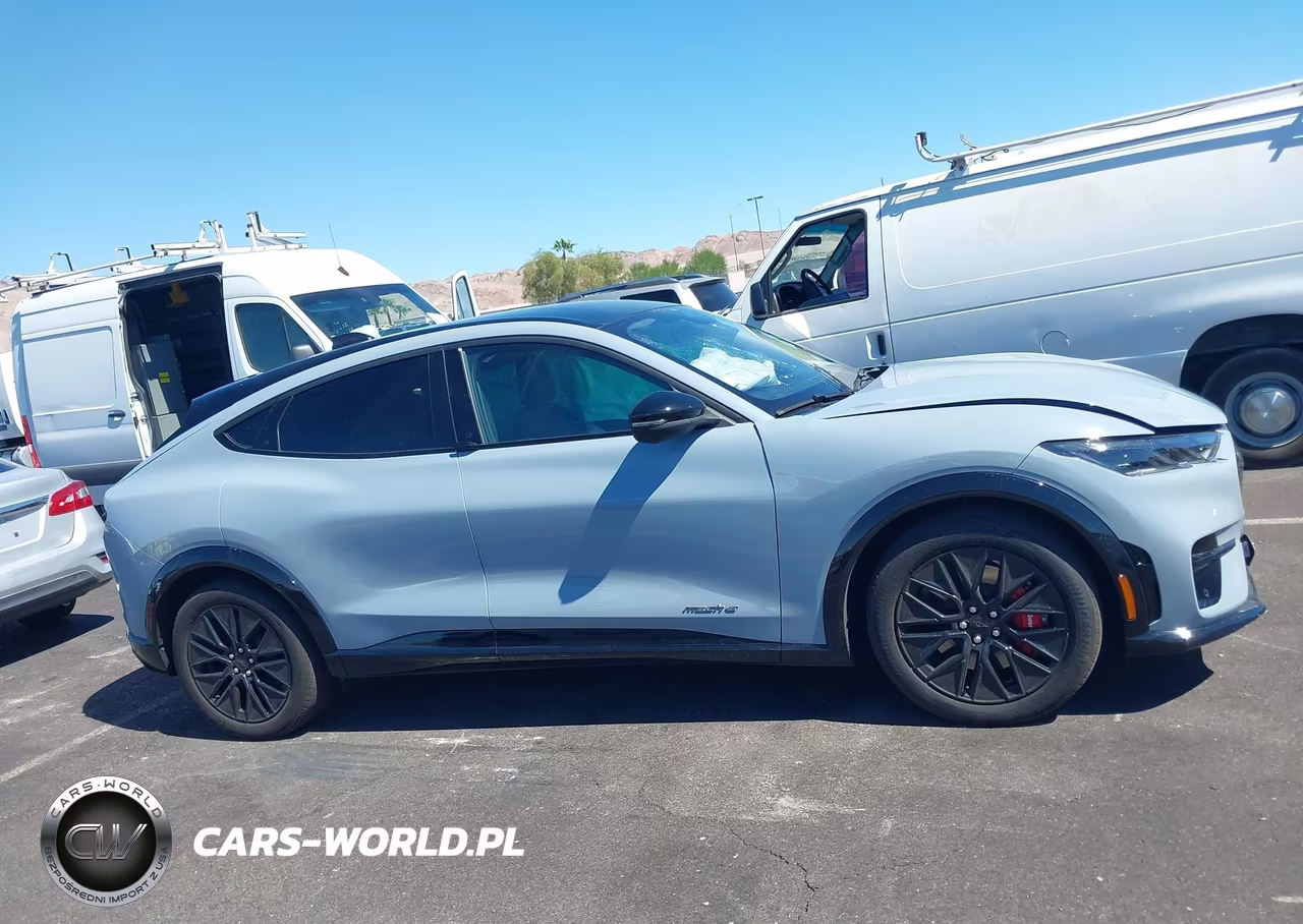 2025 Ford Mustang Mach-E Premium VIN:3FMTK3R72SMA54713 - 13