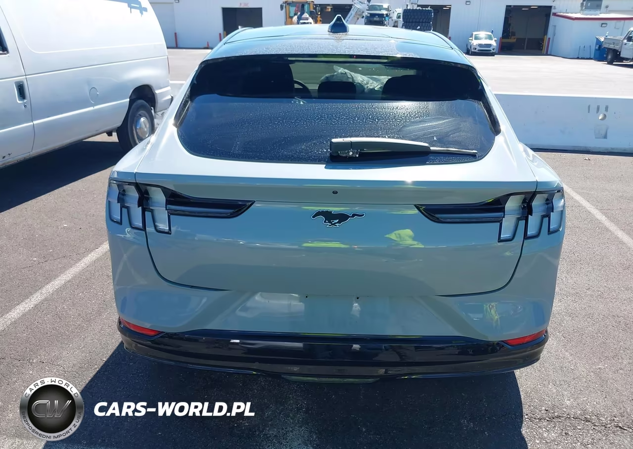 2025 Ford Mustang Mach-E Premium VIN:3FMTK3R72SMA54713 - 16