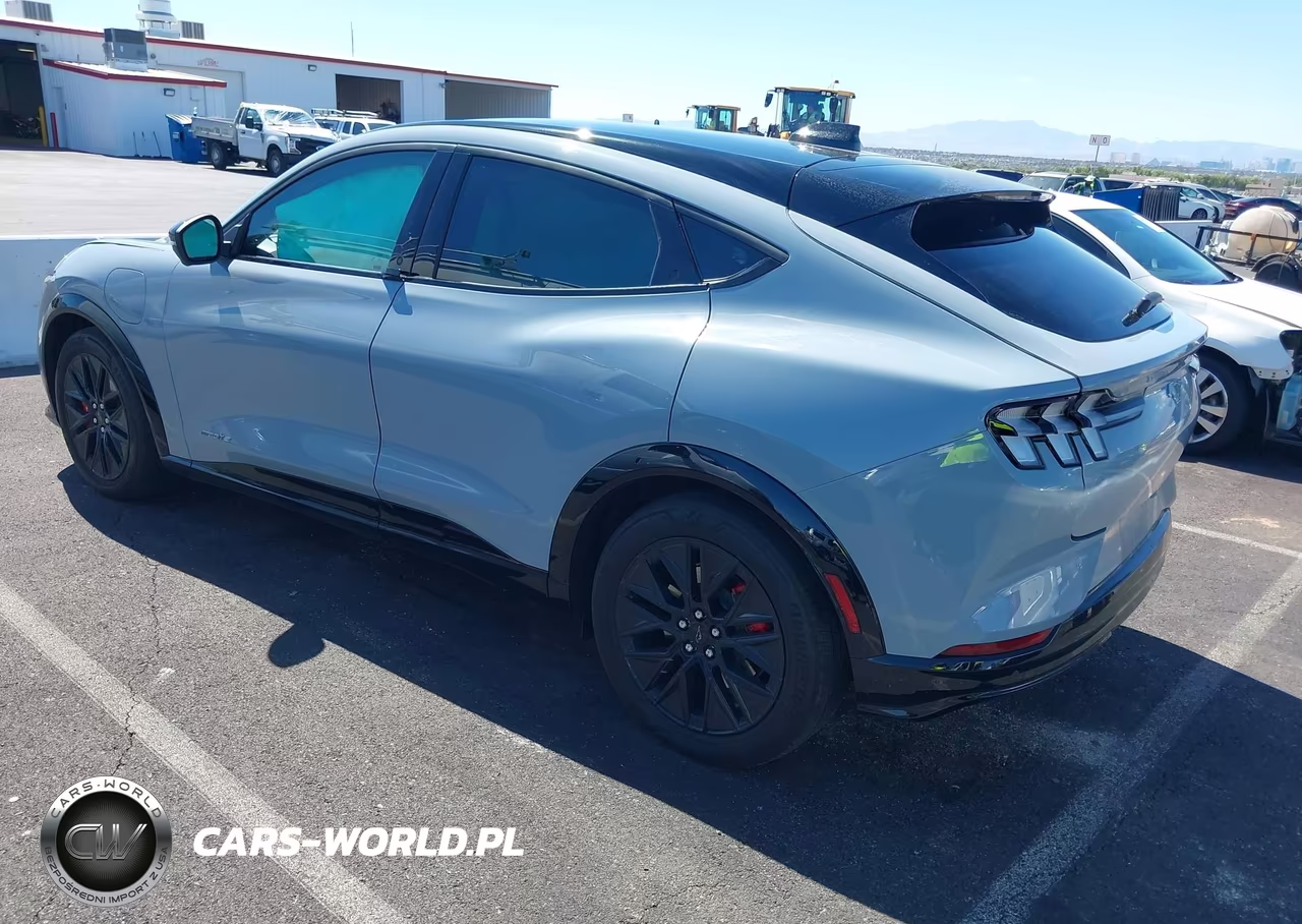 2025 Ford Mustang Mach-E Premium VIN:3FMTK3R72SMA54713 - 3