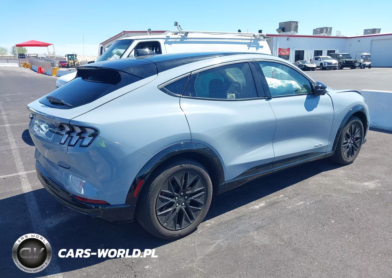 2025 Ford Mustang Mach-E Premium VIN:3FMTK3R72SMA54713 - 4