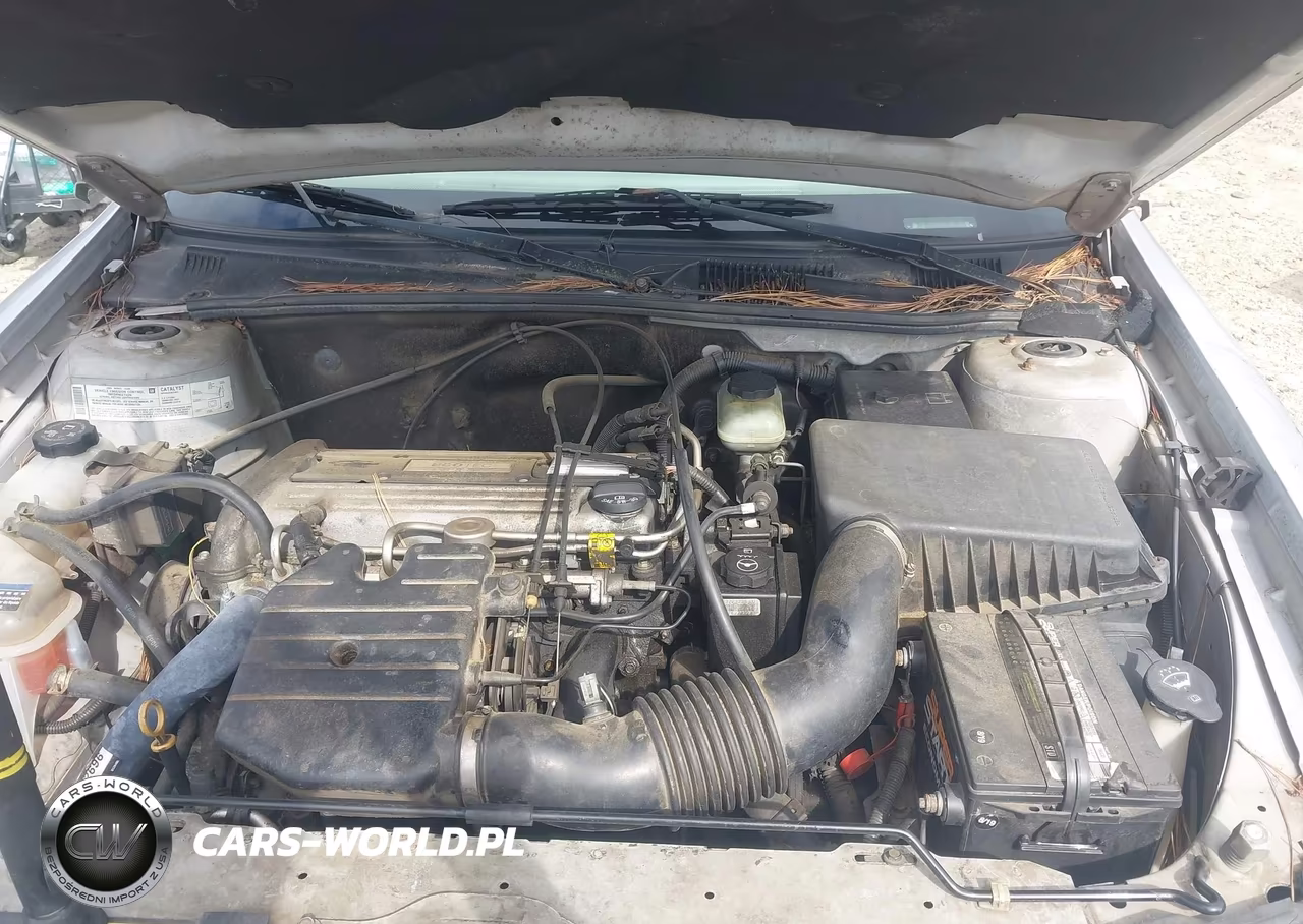 2005 Chevrolet Classic VIN:1G1ND52F95M255926 - 10