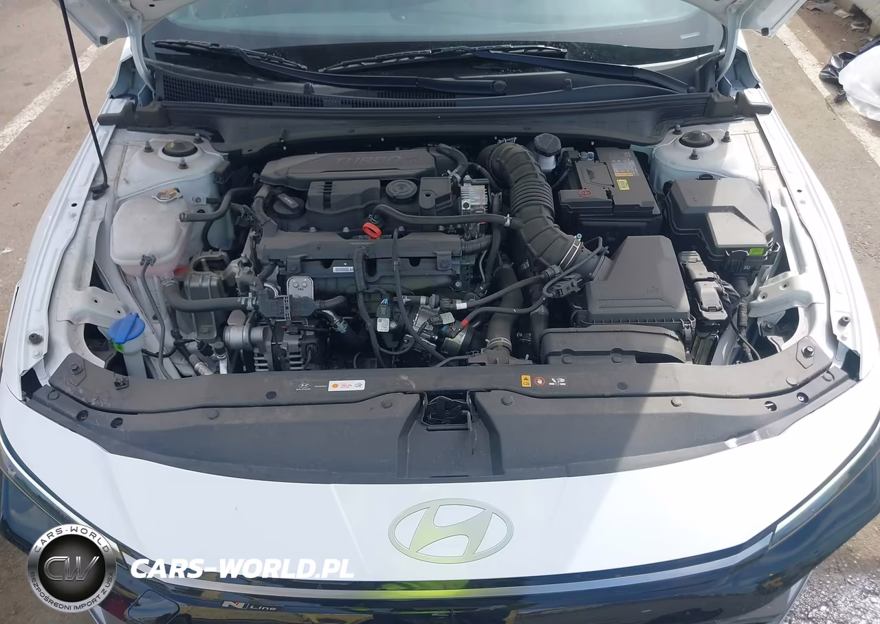 2025 Hyundai Elantra N Line VIN:KMHLR4DF3SU015429 - 10