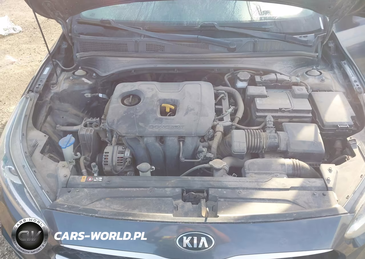 2019 Kia Forte Lxs VIN:3KPF24AD0KE132747 - 10