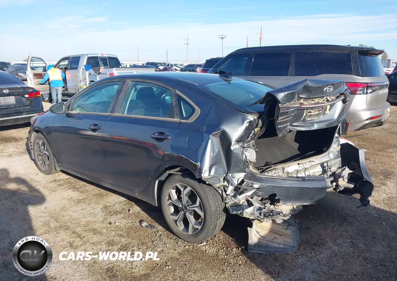 2019 Kia Forte Lxs VIN:3KPF24AD0KE132747 - 3
