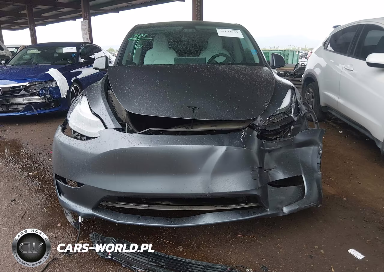 2023 Tesla Model Y Performance Dual Motor All-Wheel Drive VIN:7SAYGDEF5PF937430 - 12