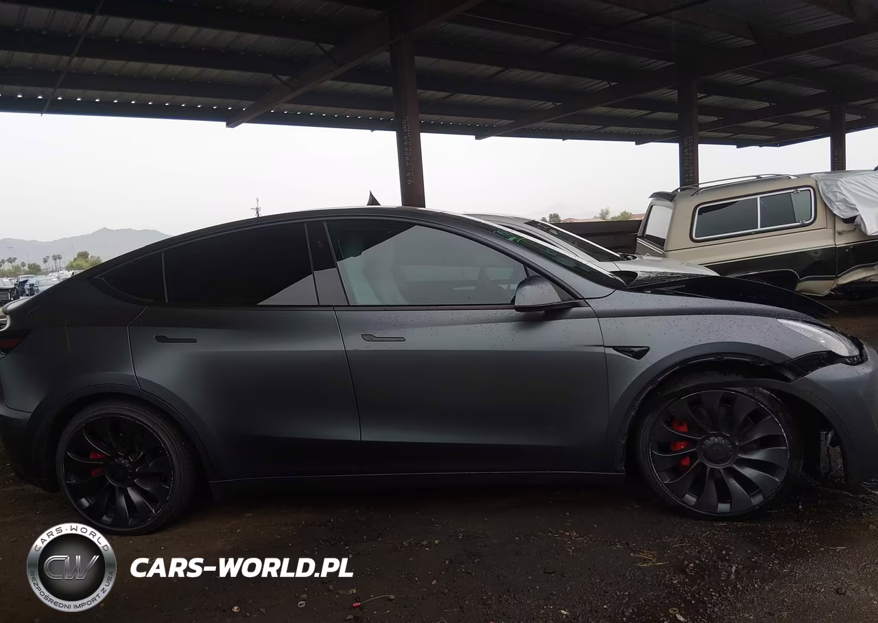 2023 Tesla Model Y Performance Dual Motor All-Wheel Drive VIN:7SAYGDEF5PF937430 - 13