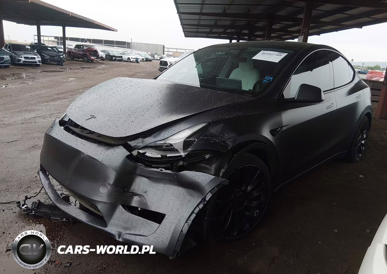 2023 Tesla Model Y Performance Dual Motor All-Wheel Drive VIN:7SAYGDEF5PF937430 - 19