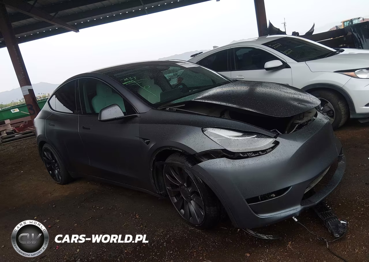 2023 Tesla Model Y Performance Dual Motor All-Wheel Drive VIN:7SAYGDEF5PF937430 - 20