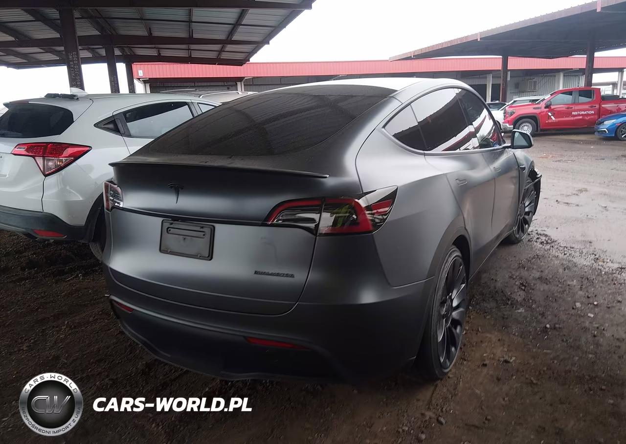 2023 Tesla Model Y Performance Dual Motor All-Wheel Drive VIN:7SAYGDEF5PF937430 - 4