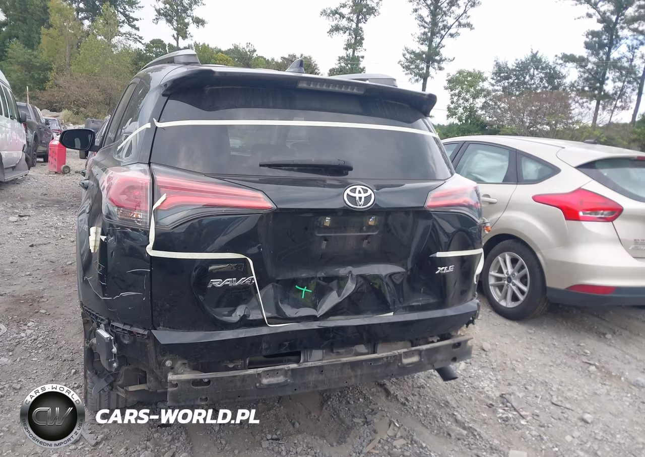 2018 Toyota Rav4 Xle VIN:2T3WFREV5JW424109 - 6