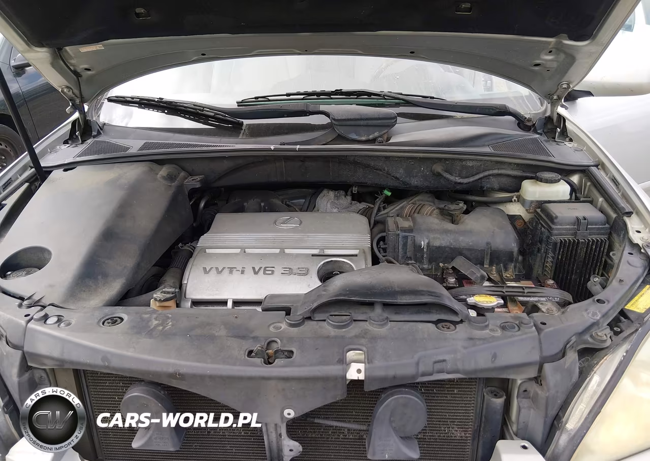 2005 Lexus Rx 330 VIN:JTJHA31U650085286 - 10